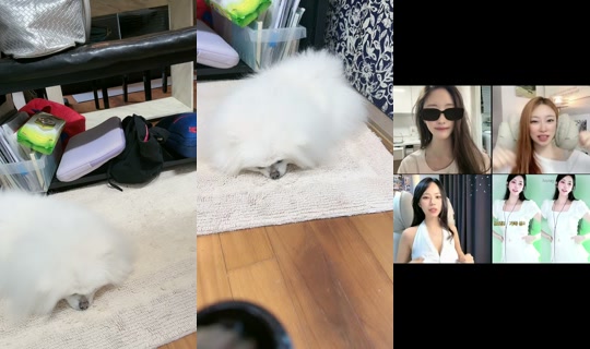 sweet_soi Recorded on Apr 19, 2026, 6:21 AM