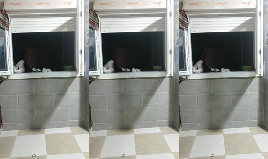 tiziri.dania's Stream - Apr 15, 2026, 7:20 PM