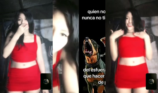 tubellaquita485's Stream - Apr 19, 2026, 7:30 AM