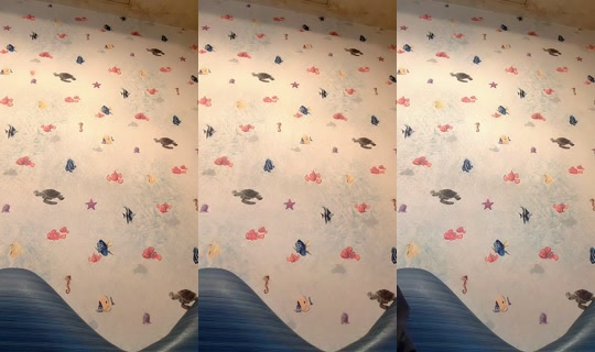 Live de yuragaki_aishiteru - 16 de abr. de 2026, 14:44