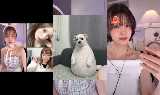 بث z.sarang.z - 19 أبريل 2026، 2:20 م