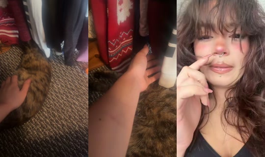 Stream fiilthyfawn - 5 Mei 2026, 22.00