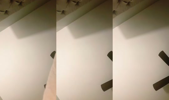 lemon_hoku's Stream - May 4, 2026, 11:45 AM
