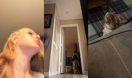 notyourb.tch420k's Stream - May 4, 2026, 12:54 PM