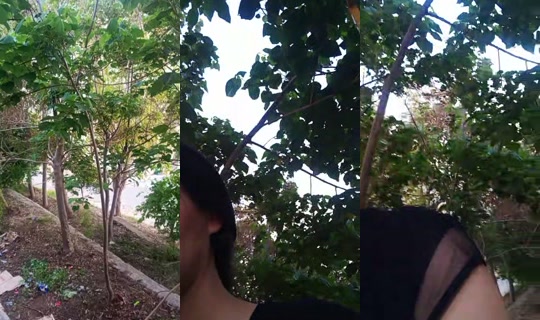 sahar.fy's Stream - Jun 17, 2026, 4:41 PM