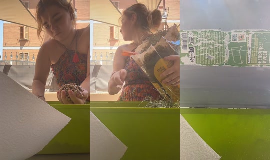serena217003's Stream - Jun 16, 2026, 10:51 AM