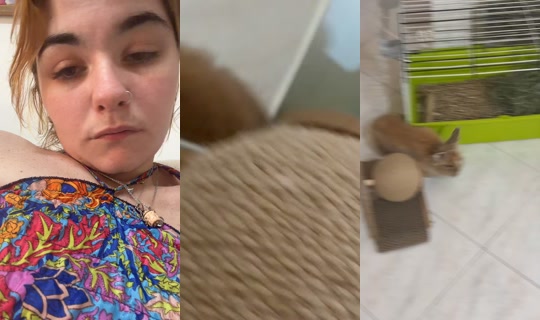 serena217003's Stream - Jun 16, 2026, 11:06 AM