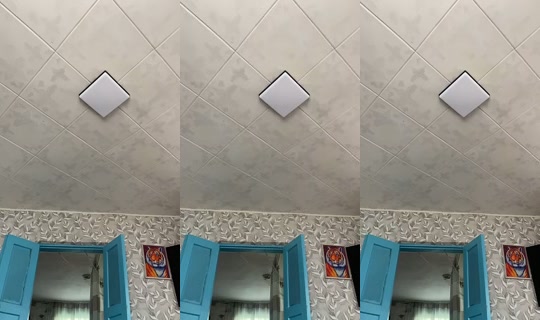 albina8848's Stream - May 8, 2026, 12:08 PM