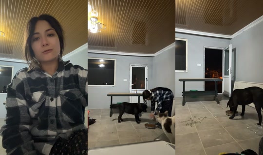 alyena080's Stream - May 8, 2026, 7:48 PM