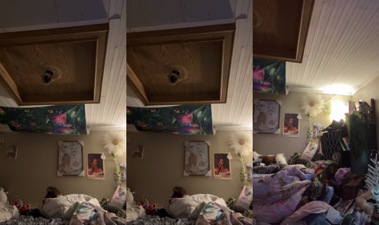 dizzymiss.lizzie's Stream - May 10, 2026, 4:28 PM
