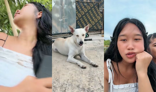 jonnarosetaguiam's Stream - Jun 19, 2026, 9:39 AM