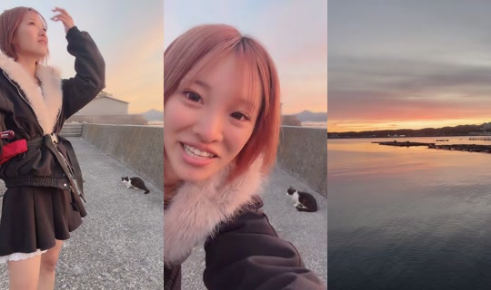 rinarinariina__'s Stream - May 9, 2026, 9:47 AM