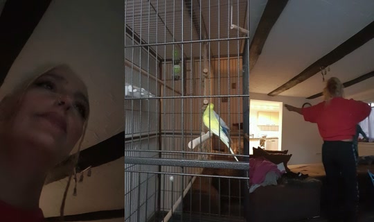 seldafelek0's Stream - May 6, 2026, 5:04 PM