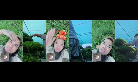 tayrambo_bonsai تم التسجيل في 9 مايو 2026، 10:57 ص