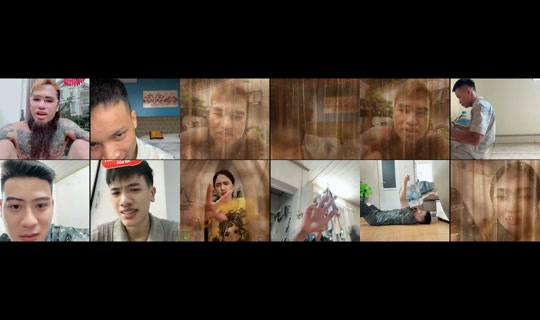 tayrambo_bonsai's Stream - May 10, 2026, 8:03 AM