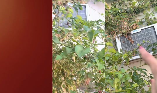 n3.199's Stream - May 22, 2026, 5:45 AM
