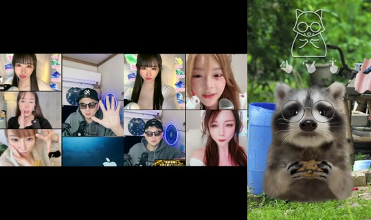 notechan3's Stream - May 22, 2026, 3:32 PM