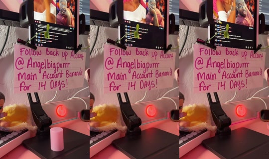 بث angelbigpurr - 24 مايو 2026، 1:49 ص