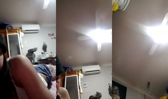 bossgurl202's Stream - May 23, 2026, 12:14 PM
