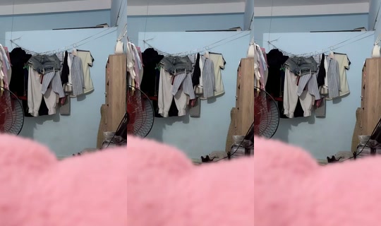 embe12872's Stream - May 23, 2026, 2:13 PM
