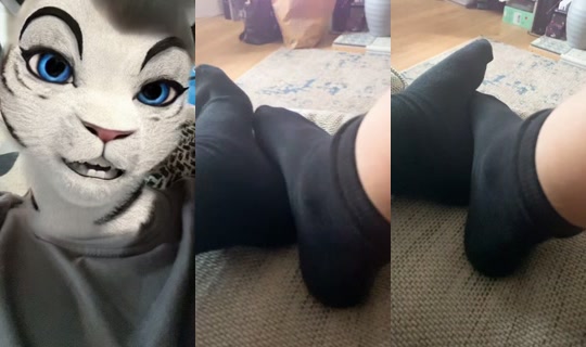 harry.mills83's Stream - May 22, 2026, 6:05 PM