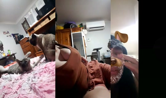 bossgurl202's Stream - Jun 4, 2026, 3:07 PM