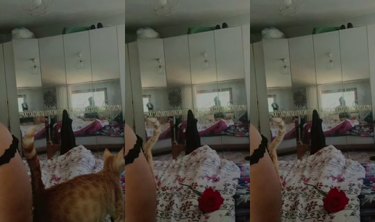 emel.kaya476's Stream - Jun 3, 2026, 7:27 AM