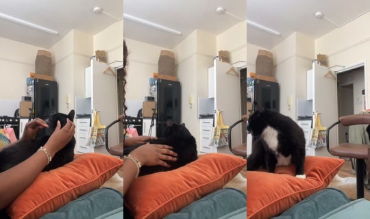 itsabimalc's Stream - Jun 3, 2026, 12:43 PM