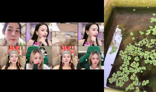 Live de jiraporn.282 - 4 de jun. de 2026, 10:36