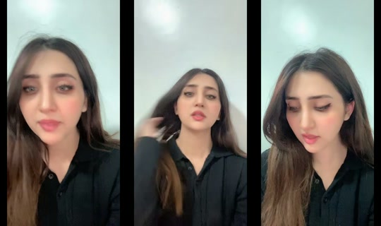 Live de sehartalha - 3 de jun. de 2026, 7:08