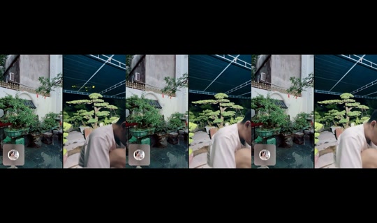 tayrambo_bonsai의 방송 - 2026년 6월 3일 AM 11:41