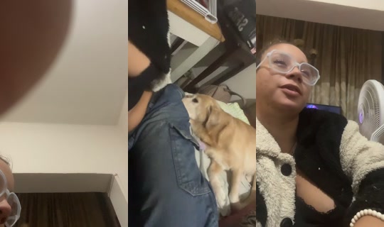 vicky.castillo03's Stream - Jun 4, 2026, 4:19 AM