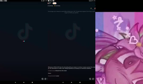 pebbaknowsbest's Stream - Jun 10, 2026, 10:44 PM