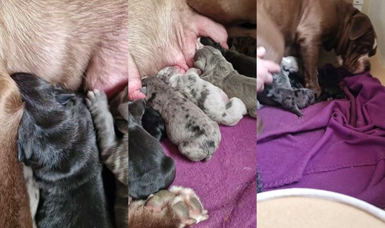 .sandgaard's Stream - Apr 1, 2026, 8:47 AM