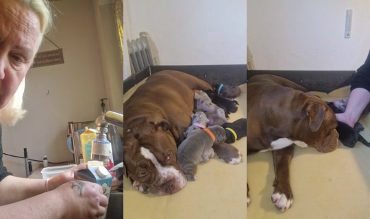 .sandgaard's Stream - Apr 6, 2026, 4:44 PM