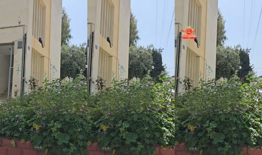 aloxen_kauloxen3's Stream - Apr 13, 2026, 10:45 AM