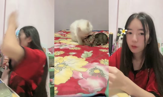 nitthida230649's Stream - Apr 13, 2026, 8:14 AM