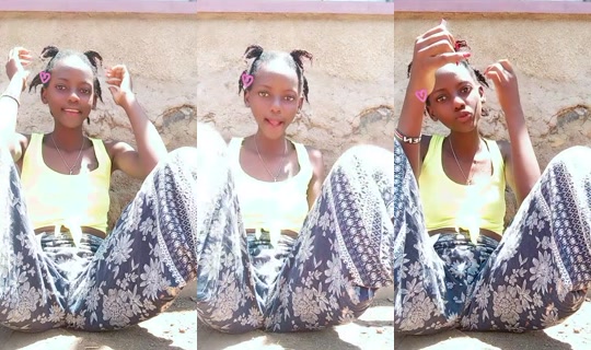 tabbykate's Stream - Apr 12, 2026, 10:33 AM