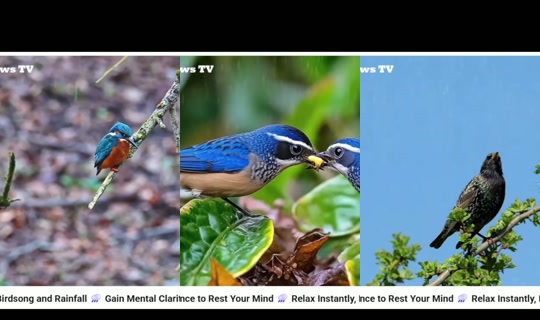 ariasaki の配信 - 2026年4月17日 18:19