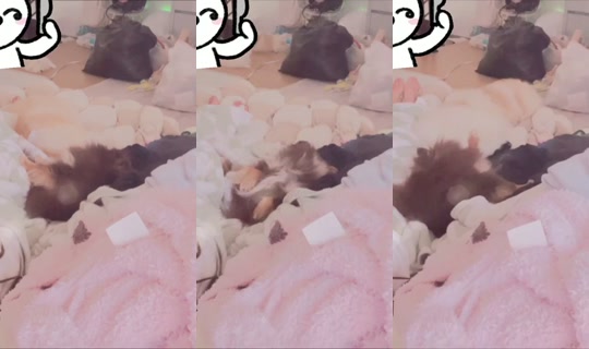 ariasaki's Stream - May 10, 2026, 11:07 PM