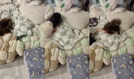 ariasaki's Stream - May 11, 2026, 4:10 AM