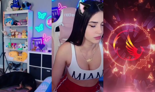 cincinbear's Stream - May 23, 2026, 1:13 PM