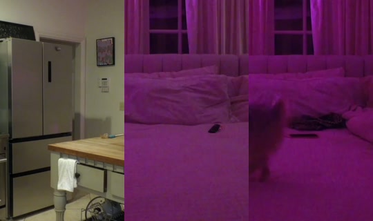 jadeworld888's Stream - Apr 16, 2026, 5:12 AM