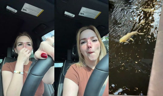 Transmisión de rocastodas - 17 abr 2026, 13:50