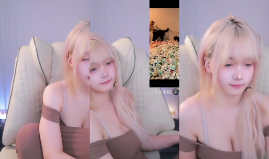 serimm11's Stream - Jun 17, 2026, 6:49 PM