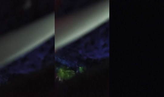 ЗояБадакова-в5ф تم التسجيل في 20 يونيو 2026، 2:06 ص
