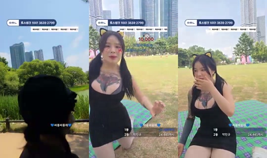 아기하마_소라's Stream - Jun 17, 2026, 3:17 AM