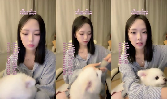 likeacrystaI의 방송 - 2026년 6월 3일 AM 11:59